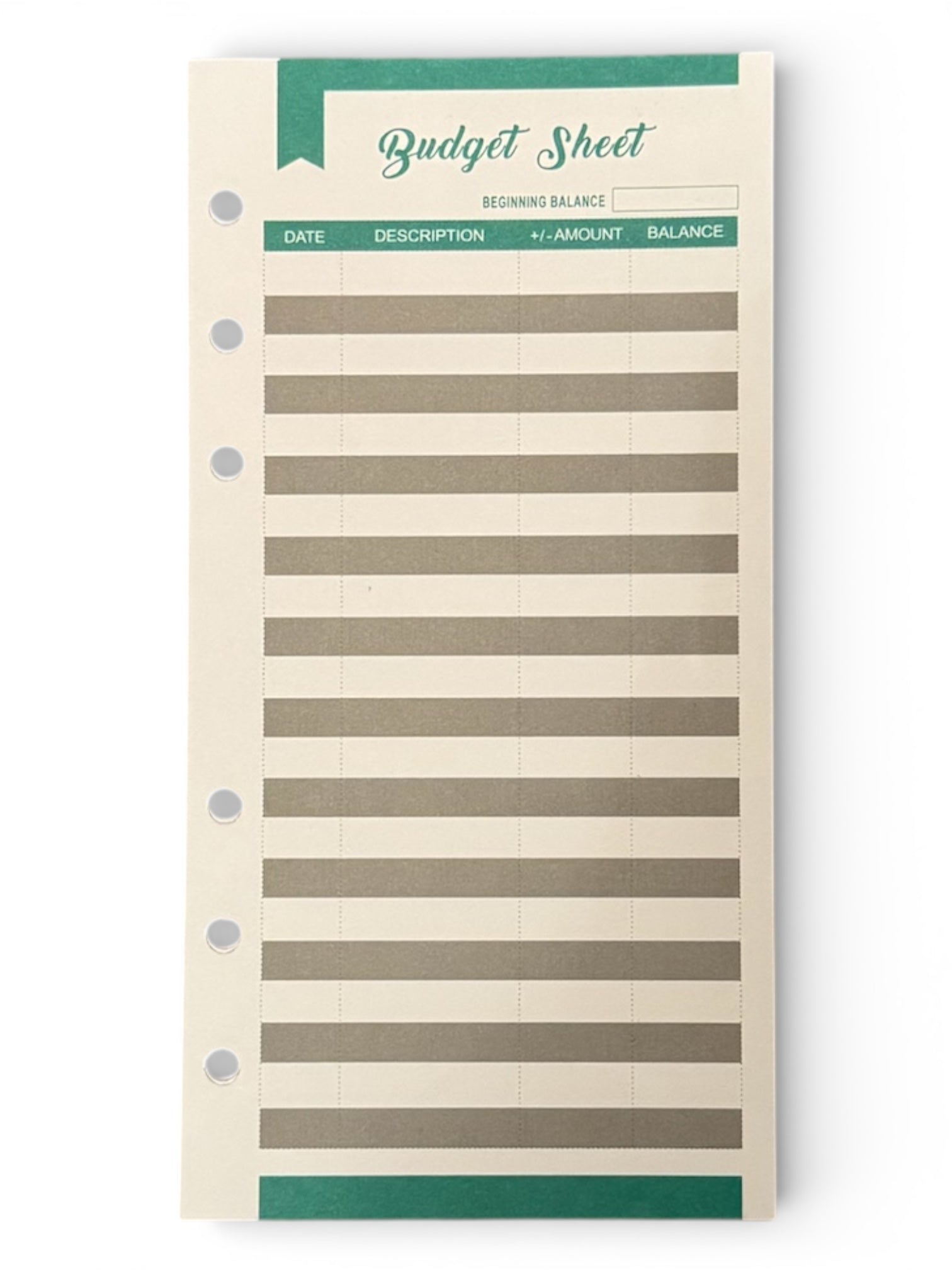 SureSpending Monthly Money Control Kit